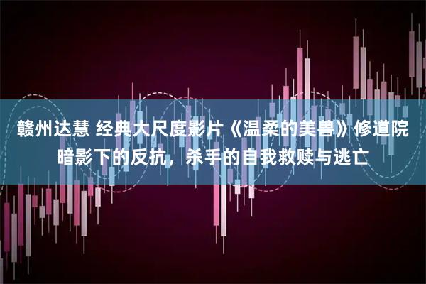 赣州达慧 经典大尺度影片《温柔的美兽》修道院暗影下的反抗，杀手的自我救赎与逃亡